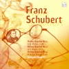 Franz Schubert. String Quartet No. 1 in various keys. String Quartet No. 2 in C Major (fragment). String Quartet No.3 in B flat Major