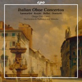 Oboe Concerto in D Major artwork
