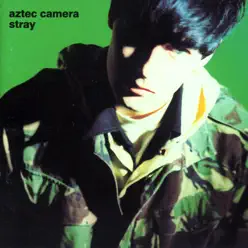 Stray - Aztec Camera