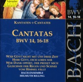 Johann Sebastian Bach - War Gott nicht mit uns diese Zeit, BWV 14: Aria: Gott, bei deinem starken Schutzen (Bass)
