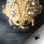 El Escarabajo de Oro (Texto Completo) [The Gold Bug ] (Unabridged)