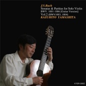 Bach: Sonatas & Partitas for Solo Violin (Guitar Version), Vol. 2 artwork