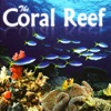 The Coral Reef, 2009