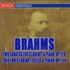 Karel Dohnal - Sonata for Clarinet and Piano No. 2 in E-Flat Major, Op. 120: I. Allegro Amabile