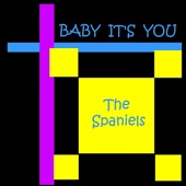 Spaniels - Baby Its You