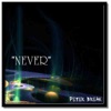 Never - Single