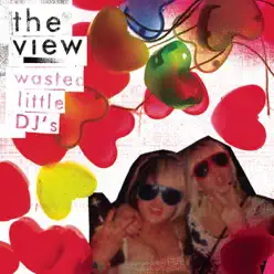 Wasted Little DJs - Single - The View