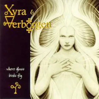 descargar álbum Xyra And Verborgen - Where Glass Birds Fly