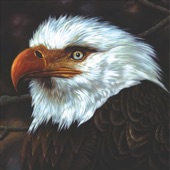 The Hawk Is Howling artwork
