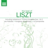 Hungarian Rhapsody No. 6 in D-Flat Major, S. 244 No. 6 artwork