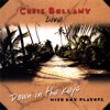 Chris Bellamy - Tree Top Flyer