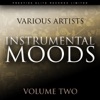 Instrumental Moods Vol 2, 2011