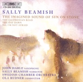 John Harle - The Imagined Sound of Sun On Stone