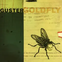 Goldfly - Guster