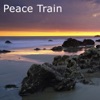 Peace Train, 2006