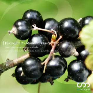 Album herunterladen Masanori Yasuda - Blackcurrant