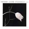 Astor Piazzolla: El Tango album lyrics, reviews, download