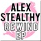 The Way It Should Be - Alex Stealthy lyrics