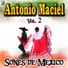 Sones De Mexico Vol.2