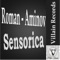 Sensorica - Roman-Aminov lyrics