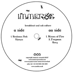 Brahman Dub - EP by Djunya & Borg album reviews, ratings, credits