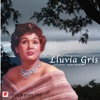 Lluvia Gris - Stormy Weather