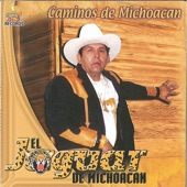 Caminos de Michoacan artwork