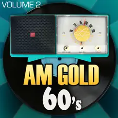 AM Gold: 60's, Vol. 2 (Re-Recorded Versions) by Various Artists album reviews, ratings, credits