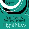 Right Now (Dario D'Attis and Morrisson Present)