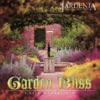 Chris Glassfield - An English Rose