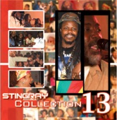 Stingray Collection, Vol. 13