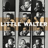 Little Walter - Just Your Fool