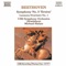 Symphony No. 3 in E flat major, Op. 55, "Eroica": II. Marcia funebre: Adagio assai artwork