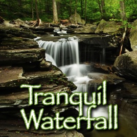 tranquil nature
