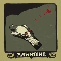 Waiting for the Light to Find Us - Amandine Waiting for the Light to Find Us - Amandine