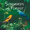 Songbirds of the Forest album lyrics, reviews, download