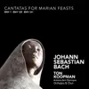 Stream & download Bach: Cantatas for Marian Feasts