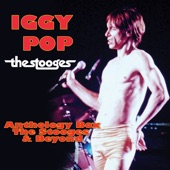 Anthology Box: The Stooges & Beyond artwork