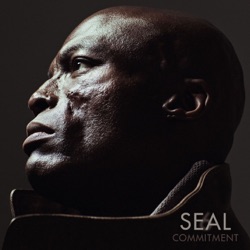 Seal - All for Love
