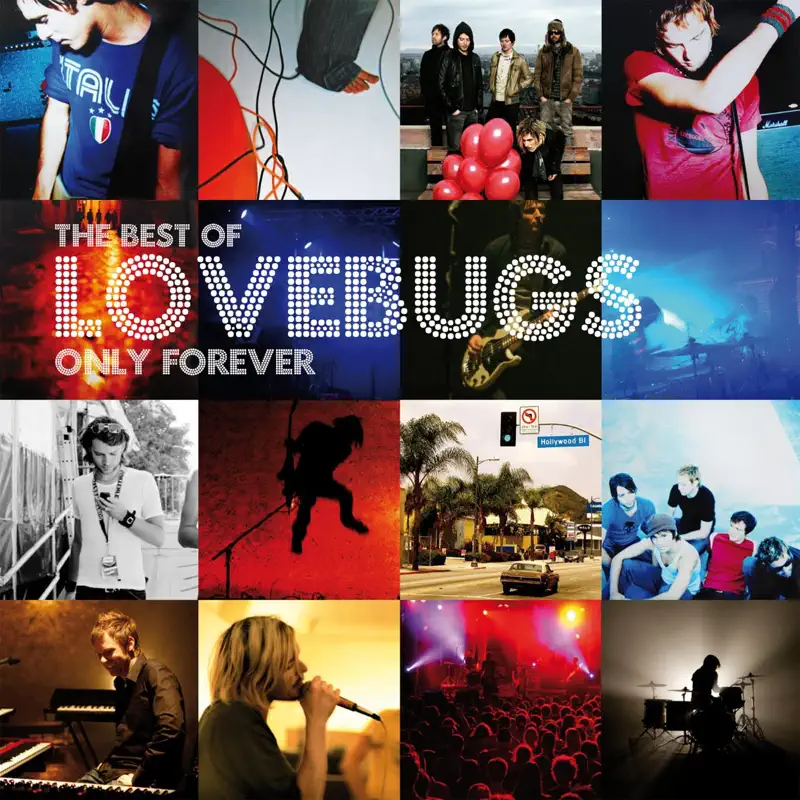 Lovebugs - Only Forever - the Best of Lovebugs (2009) [iTunes Plus AAC M4A]-新房子