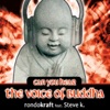 Can You Hear the Voice of Buddha (Remixes 2007) - EP