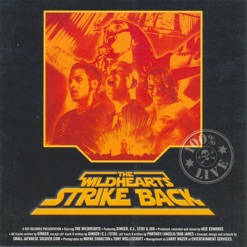 STRIKE BACK cover art