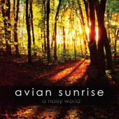 Avian Sunrise - Alive