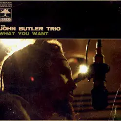 What You Want - John Butler Trio
