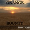 Bounty - Single