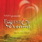 DJ Nash Presents Forest of Dreams - Mixed Edition, Pt. 1 artwork