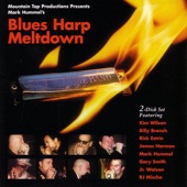Blues Harp Meltdown artwork