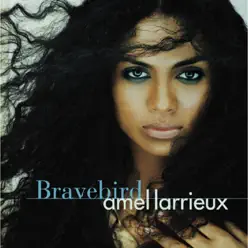 Bravebird - Amel Larrieux