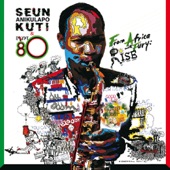 Seun Kuti & Egypt 80 - African Soldier