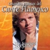 Figuras del Cante Flamenco: Jimenez Rejano